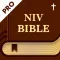 New International Version Pro.