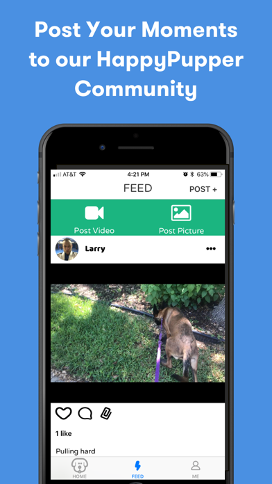 HappyPupper Dog Walker Tracker Screenshots