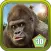 3D Gorilla Simulator on the New York City