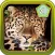 3D Leopard Simulation Premium