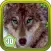 3D Wolf Simulator 2 - Fantastic Hunting