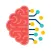 Brain Game - Trainer