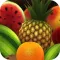 IQ for kids Free : Baby learn plant,tree,fruit