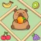 Capybara Escape : Maze Run