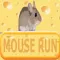 MOUSE RUN