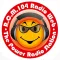 RCM 104 RADIO WEB
