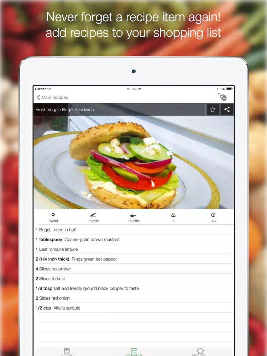 Meal Recipes - Find All The Delicious Recpies - Sandwich and Health Meal Recipes iPad Screenshots