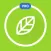 Healthy Vegan Vegetarian Recipes & Shopping List