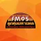 LTMFM95