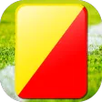 red yellow card