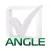Angle Financial and Business