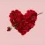 Flowers StickersPack