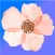FlowerWhat