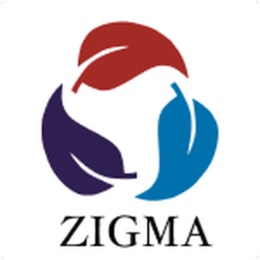 Zigma Work Pro