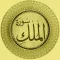 Surah Mulk With In Urdu & English Translation Pro