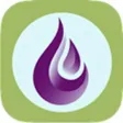 Field Guide to YL Oils (ZH)