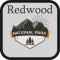 Best Red Wood National Park