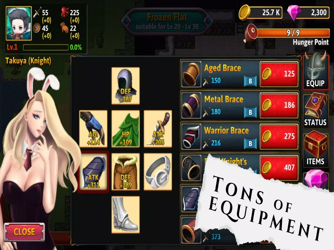 Ảnh chụp màn hình của Innocent Heroes RPG iPad 