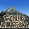 WILD ALASKA SLOT MACHINE