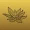 Black Lotus Tattoo Gallery