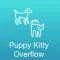 Puppy Kitty Overflow: Random Animated Dog and Cat Photos
