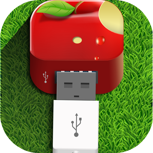 Fast Charger
