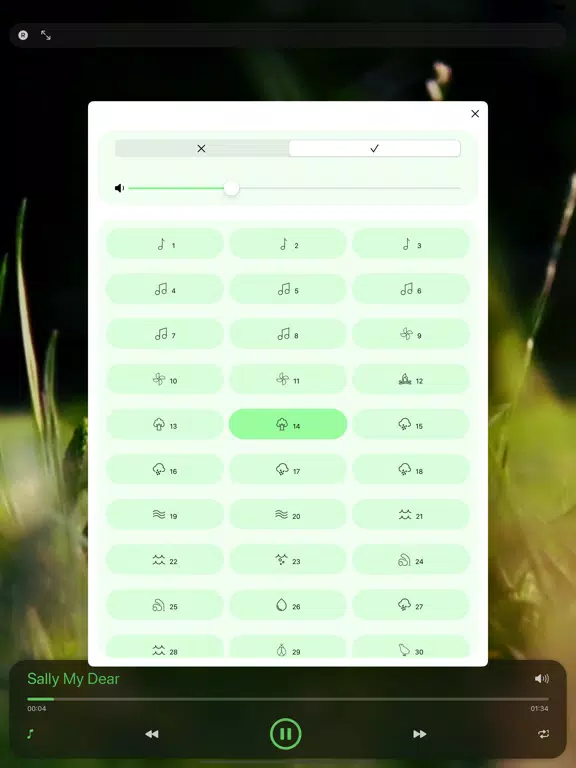 St Patrick's Day Music iPad Screenshots