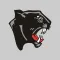 Mountain Grove Schools