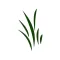 Renew Biomass Field App