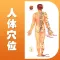 中医穴位大全