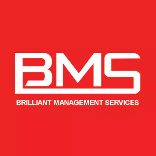 BMS - Brilliant Management Services BMS - Brilliant Management Services