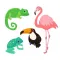 Zookeys
