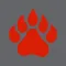 USJ Bruins