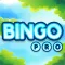 Bingo Masters Professional