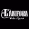 lamforadesagaro
