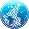 Reef Futures