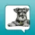 Maddie's Pet Forum