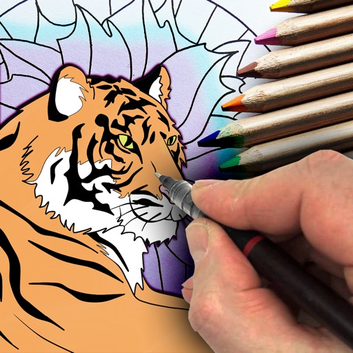 How To Draw Step By Step Easy How To Draw Step By Step Easy
