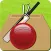 Cricket Record 2011