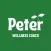 Peter Wellness Coach