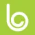 Blume Asset