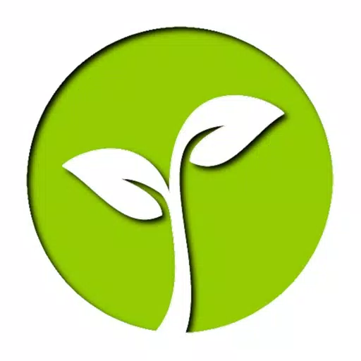 Lucky tree - plant your tree Lucky tree - plant your tree