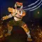 Kungfu Animal Champs