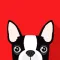 Boston Terrier Emoji: Puppy Stickers for iMessage