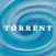 Torrent Pump Monitor