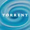 Torrent Pump Monitor