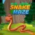 Snake & Maze: Worm Puzzle