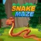 Snake & Maze: Worm Puzzle