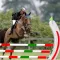 Riding & Jumping Derby Horse