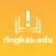 Ringkas Edu AI